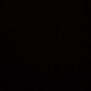 Meet your Posher, Javonte